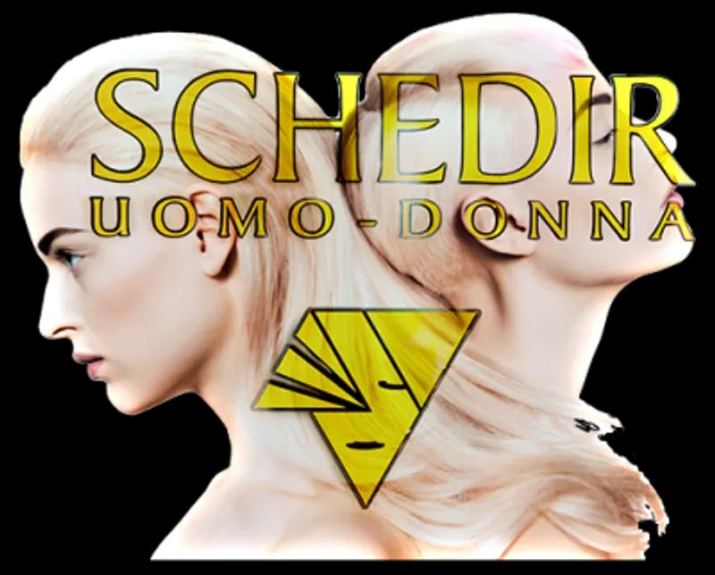 Schedir Parrucchieri Logo